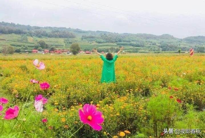 描写春天的诗句，你知道多少-第1张图片-非凡网