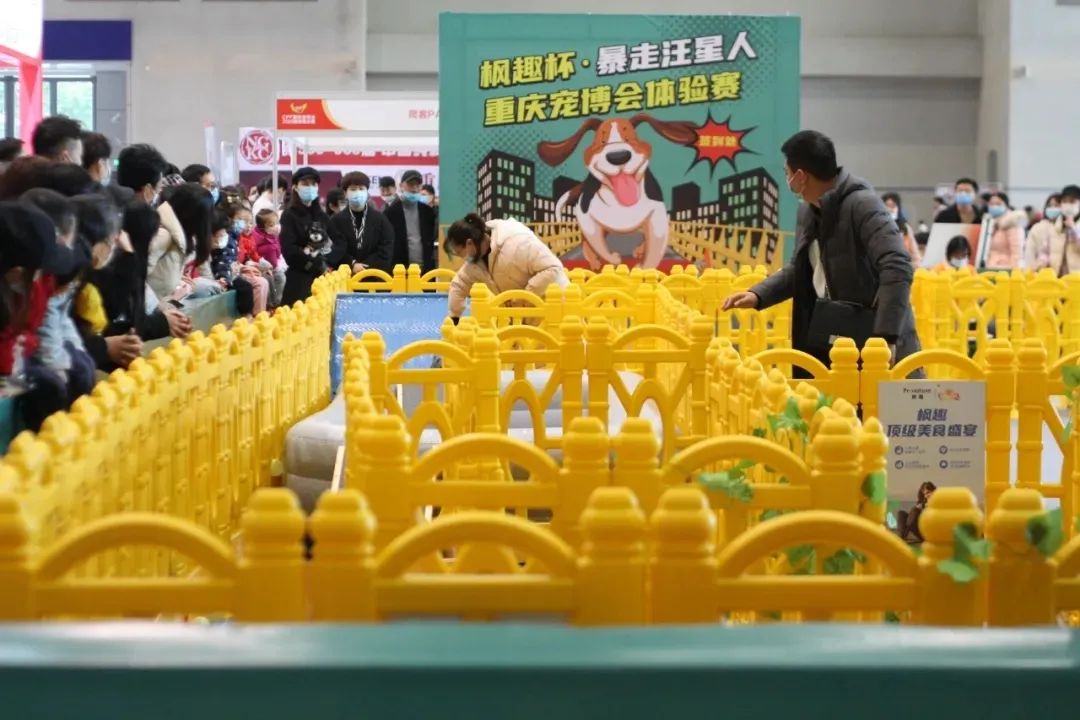 11月西部重庆展大放异彩!规模翻倍增长,开启西部宠物行业新纪元