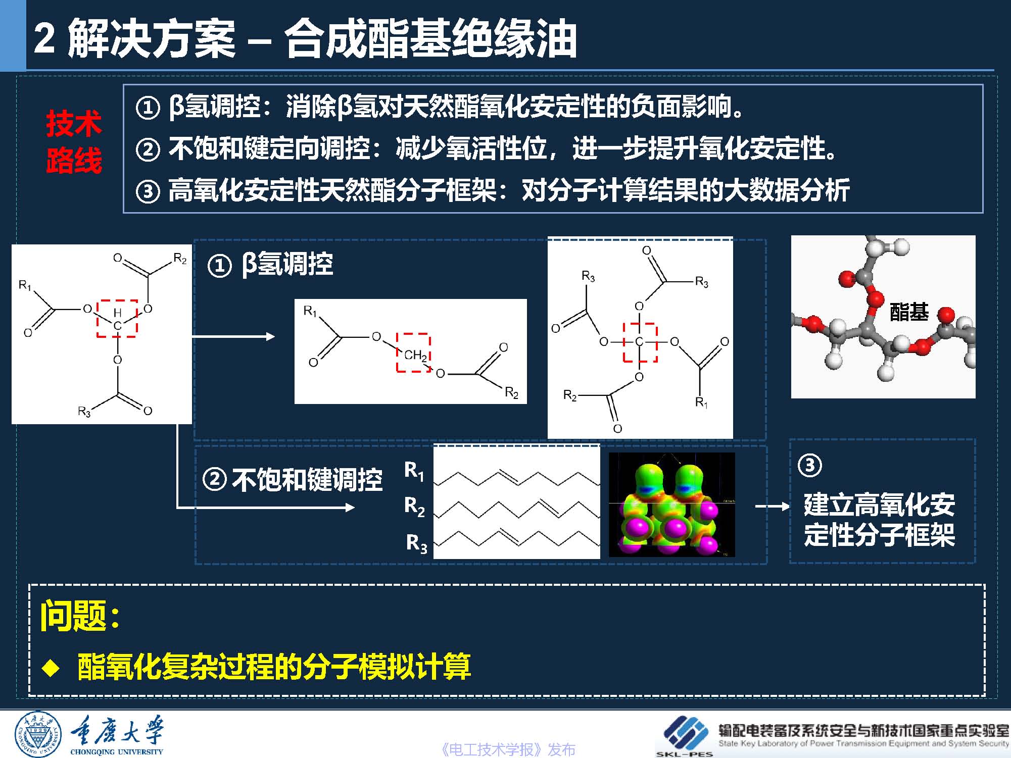 重庆大学 王飞鹏 研究员：环保安全的酯基绝缘油