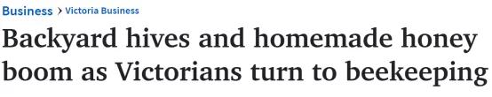 澳洲养蜂大军崛起！一年注册人数超3W，获利上百亿澳元