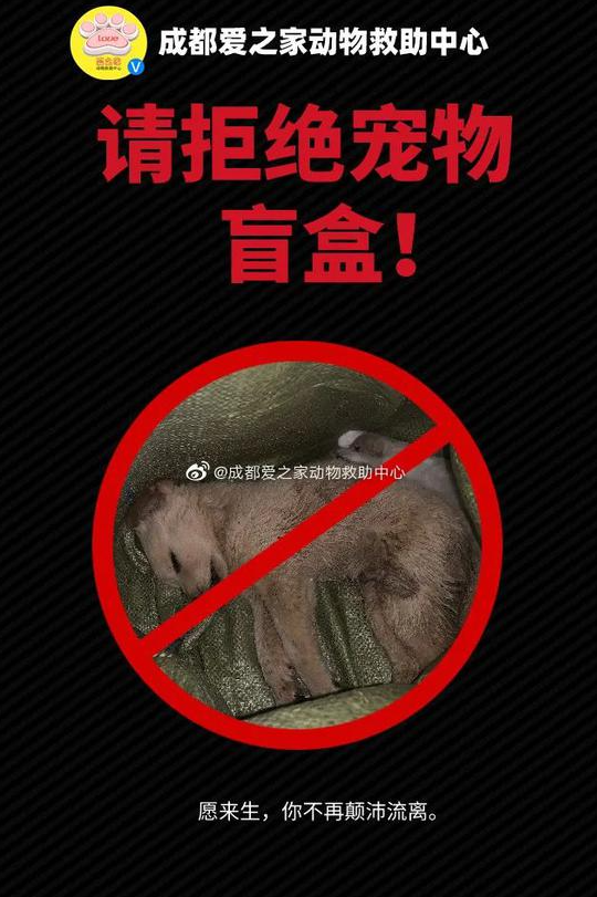 活活憋死，满车尸体，1条命只值￥9.9，宠物盲盒让全网震怒