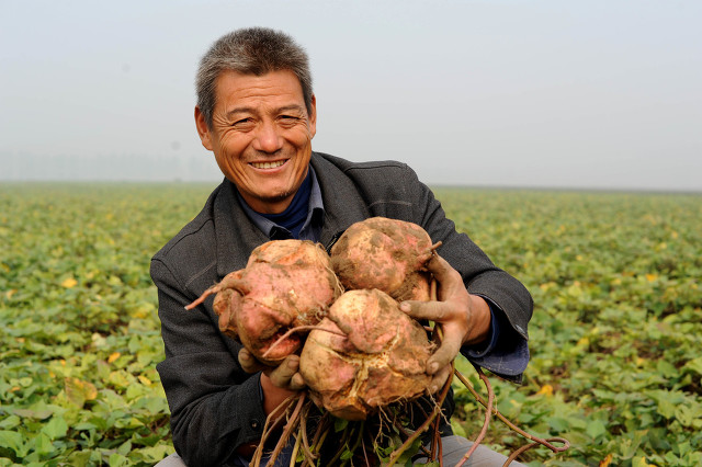 2021年之后农村未来十年创业机会很多，你准备好了吗？