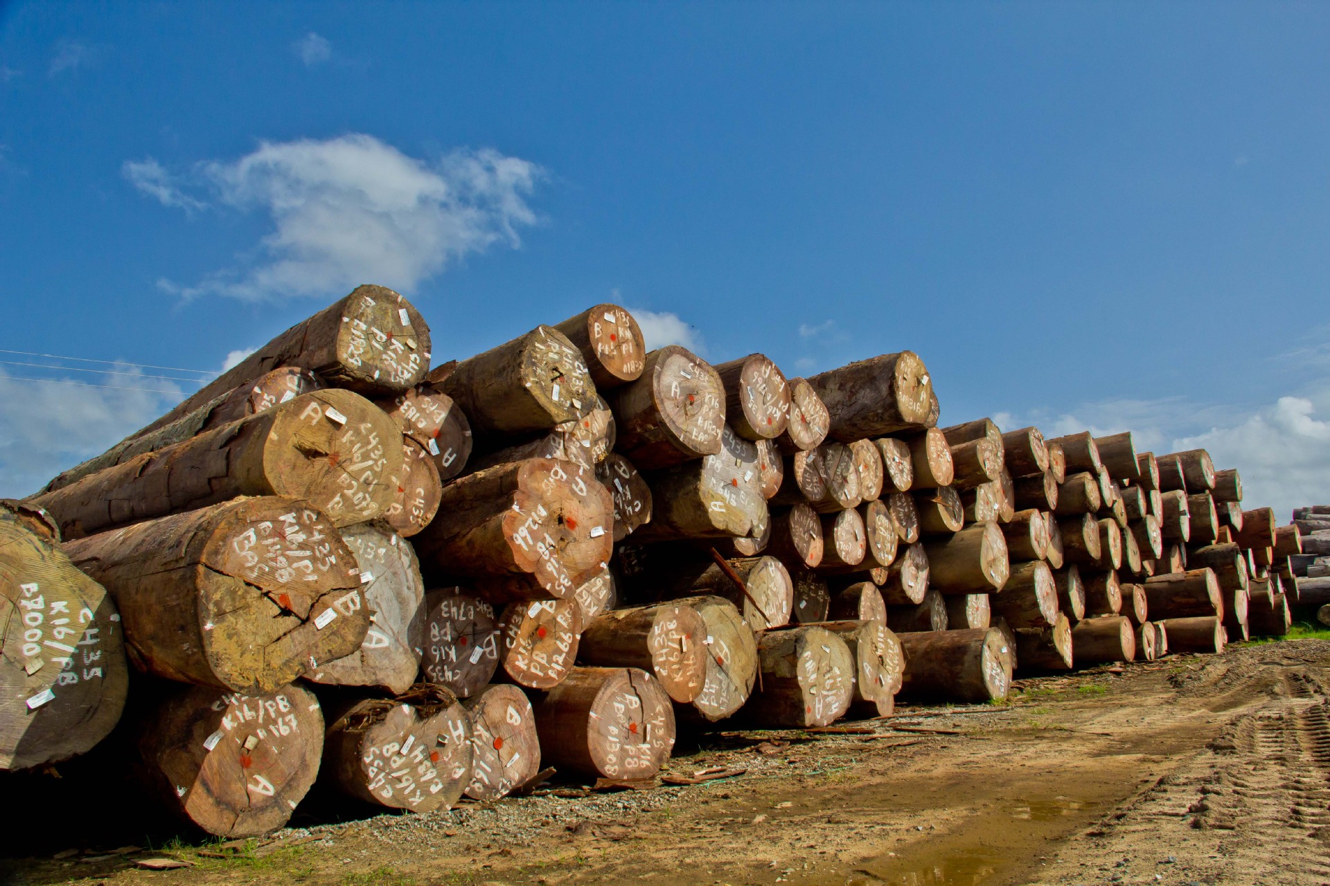 Which is better, teak or ebony wood?What are the advantages of each