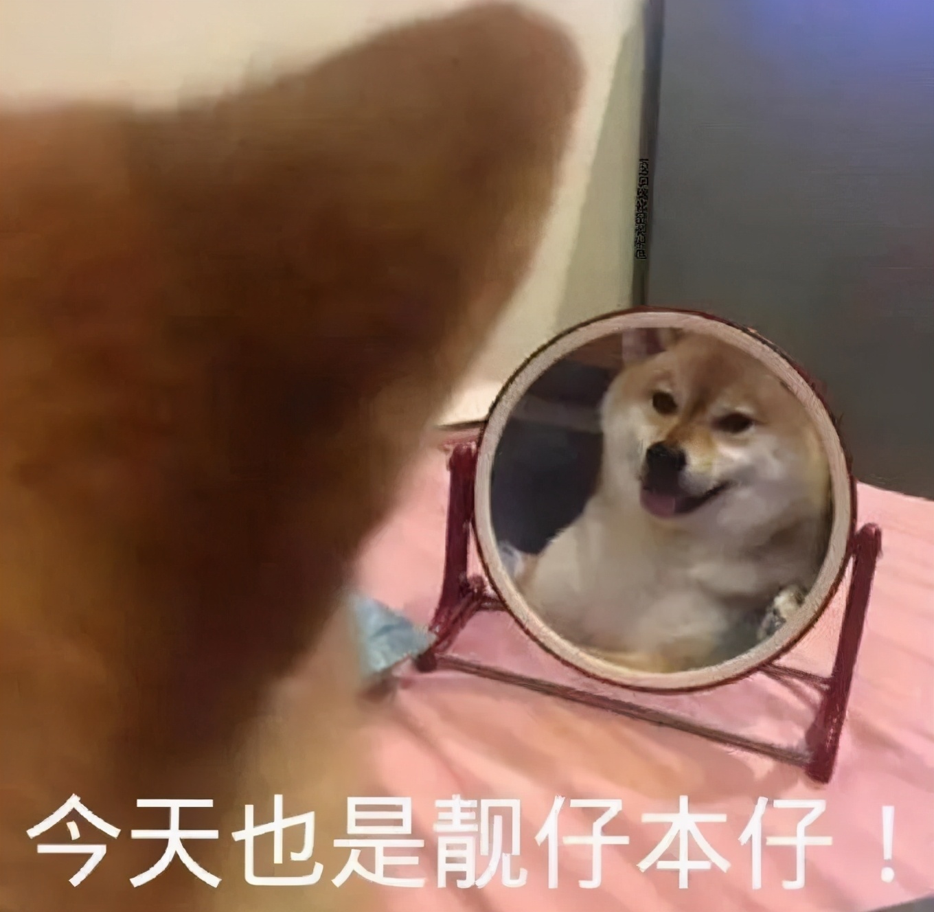 抖音表情包：背景图，热图