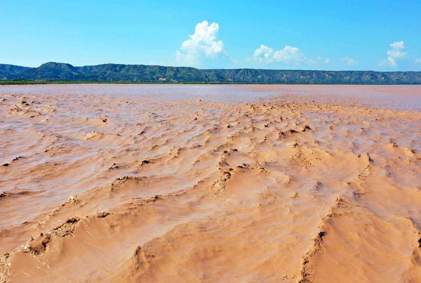 黄河最美在洽川组图