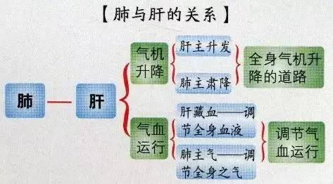 百病从肝治，据说这是一份养肝最全的方法