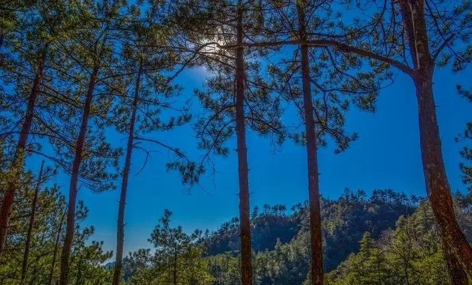 浙西的秘境山水打包送给你,这条自驾路线夏天去正好