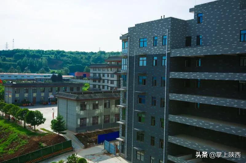 健康城之《医养情深》