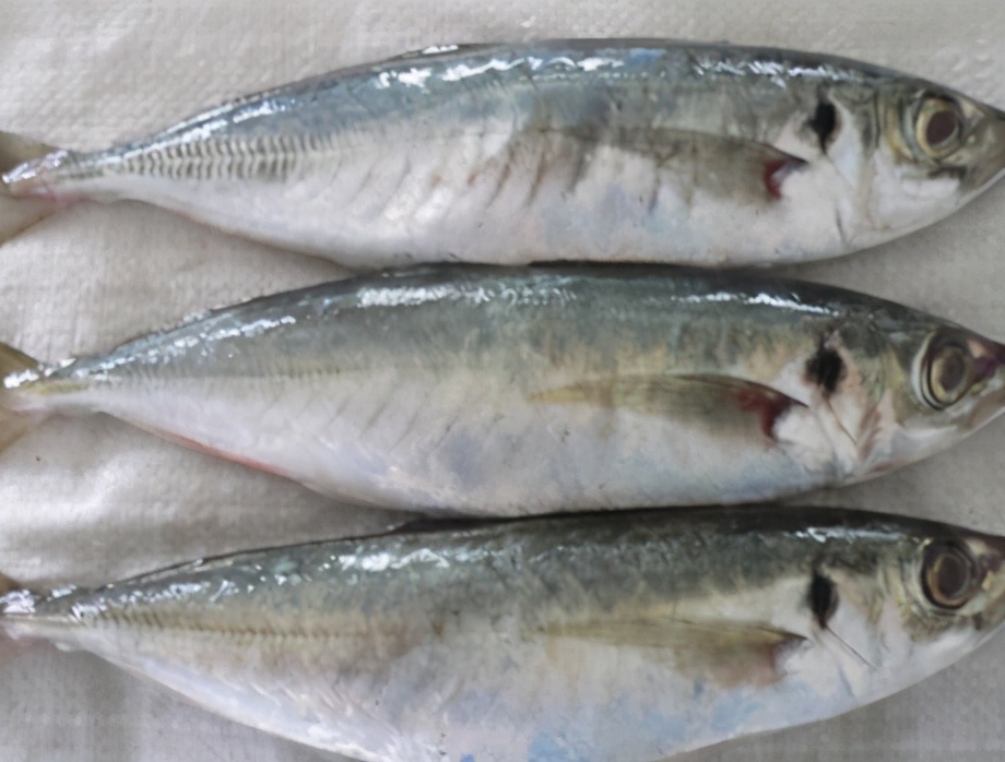 图片[2]-红烧巴浪鱼的做法步骤图 解馋-起舞食谱网