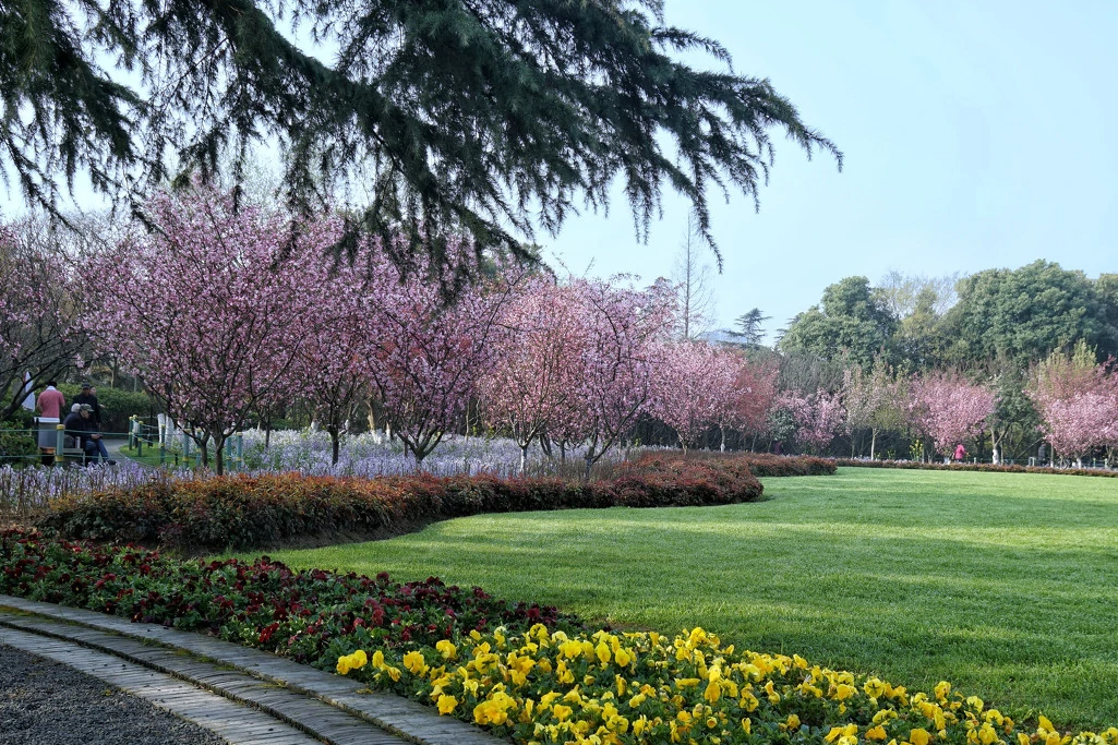 上海一“巨无霸”公园火了，占地1.3万平方米，