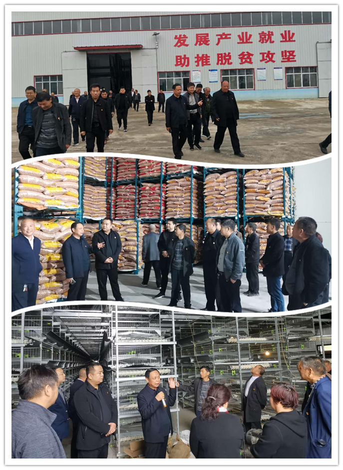 凝心聚力谋发展 观摩学习促提高——青华镇开展人大代表观摩活动