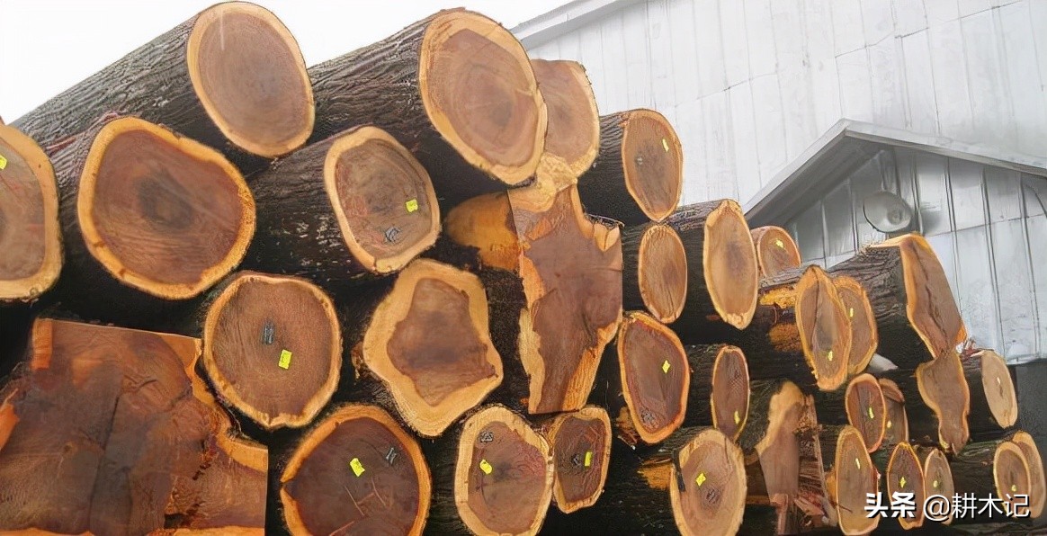 Introduction to WoodElm iNEWS