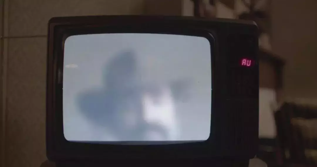 一块《鹿皮》引发的血案
