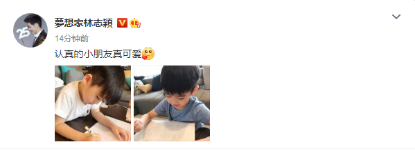 林志颖晒双胞胎儿子学习照，双子星认真写作业的模样真棒
