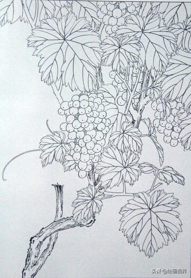 Learning Line Draft How do beginners draw correctly?Hurry up and collect these rare line ...