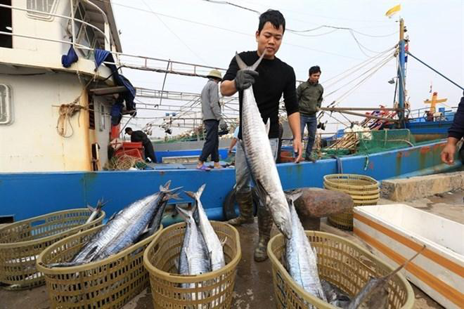 就渔业问题抹黑中国，美国哪来的底气？丨北京观察