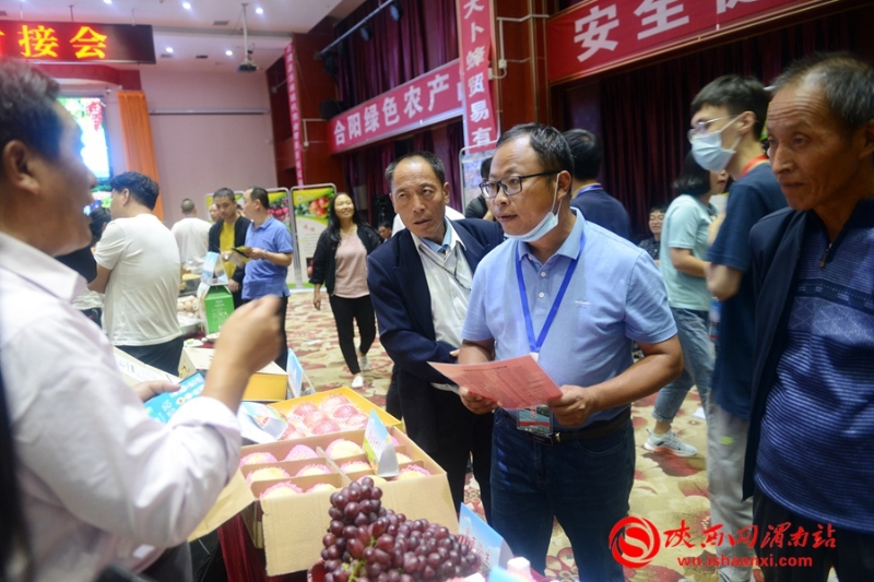 豐收合陽•最美秋色 合陽召開扶貧農(nóng)產(chǎn)品產(chǎn)銷對(duì)接會(huì)（組圖）
