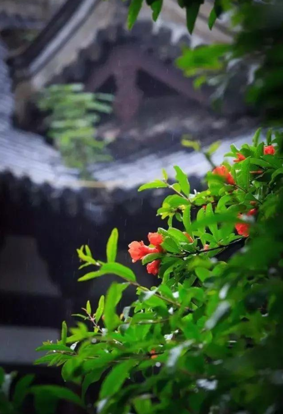 十首最美的夏日诗词，感受夏天的浪漫，愿你度过一个美好的夏天-第11张图片-非凡网