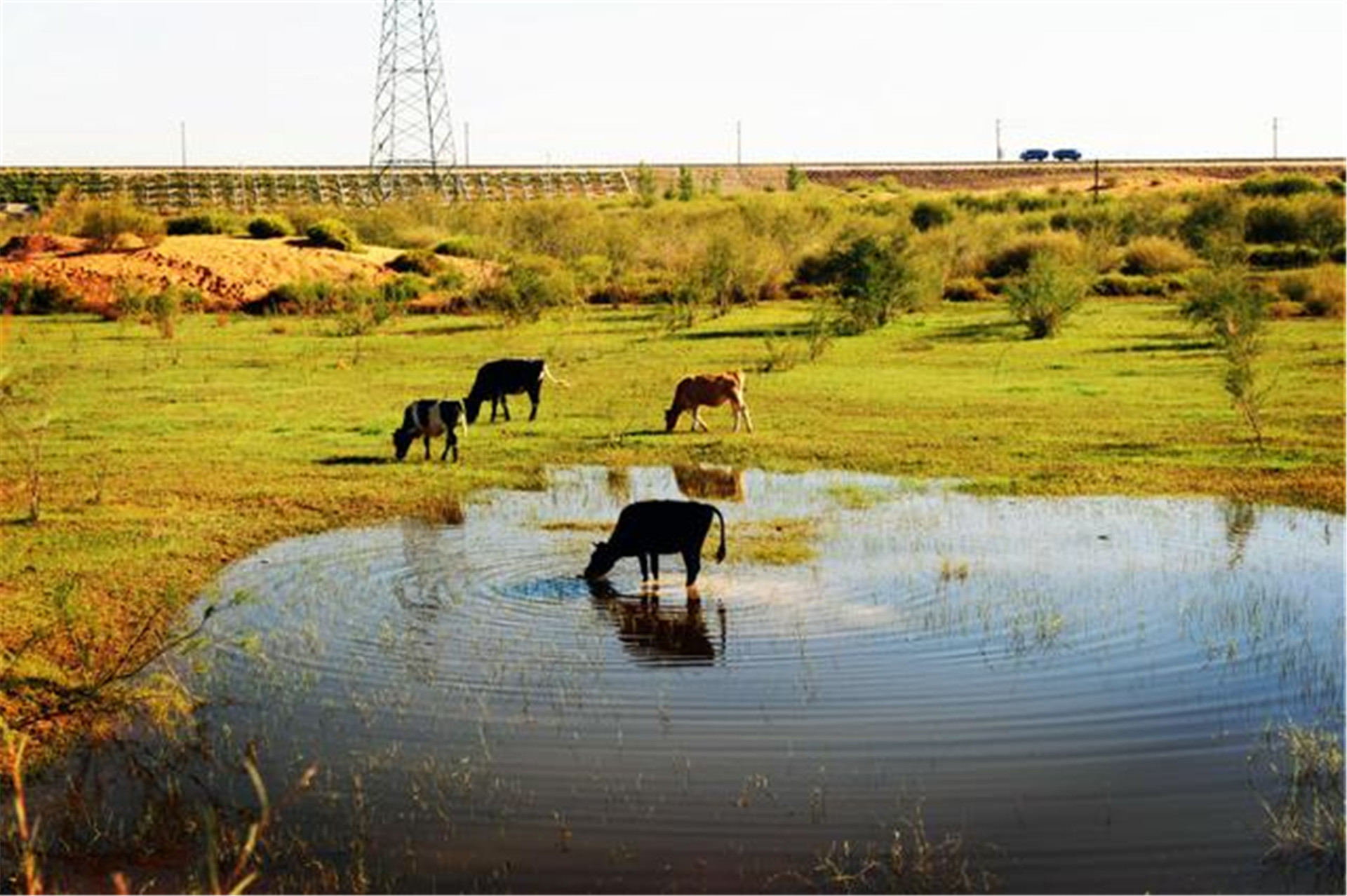 美国卫星在陕西拍到了什么？美国专家看后直呼