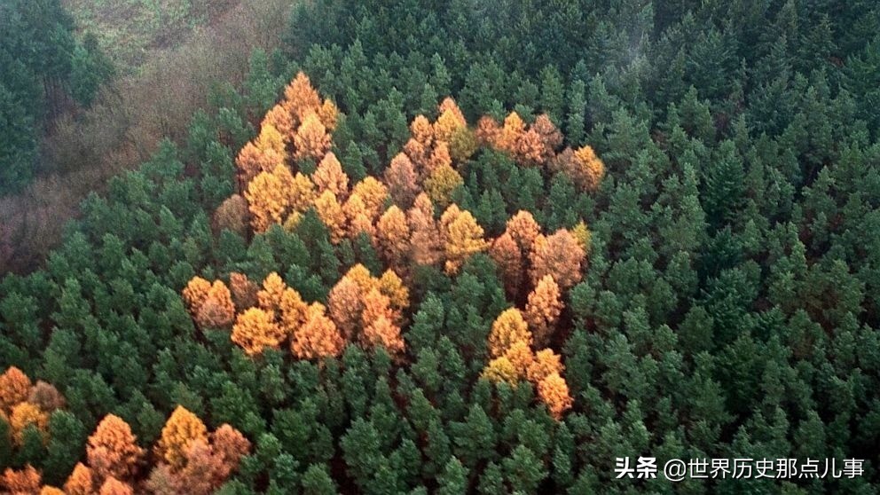 只有在空中才能被发现的秘密：世界各地八个独