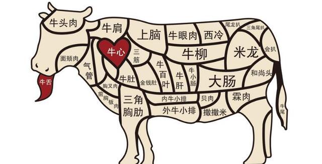 【庖丁解牛图】想弄懂牛肉的各个部位吗？想知道怎么做才好吃吗