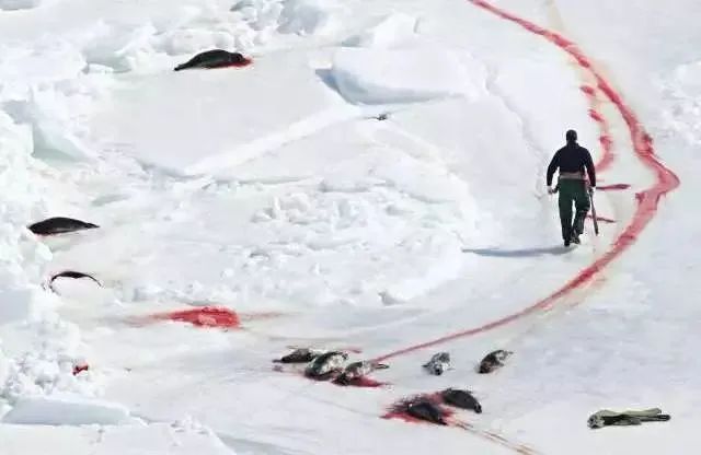 疫情未结束，另一场席卷70亿人的危机还在发生