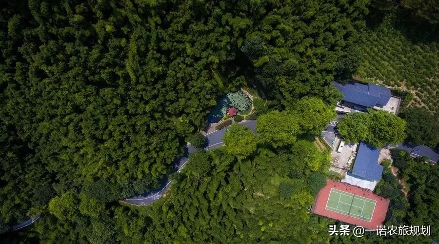 大旅居时代——康养旅居地产华丽登场