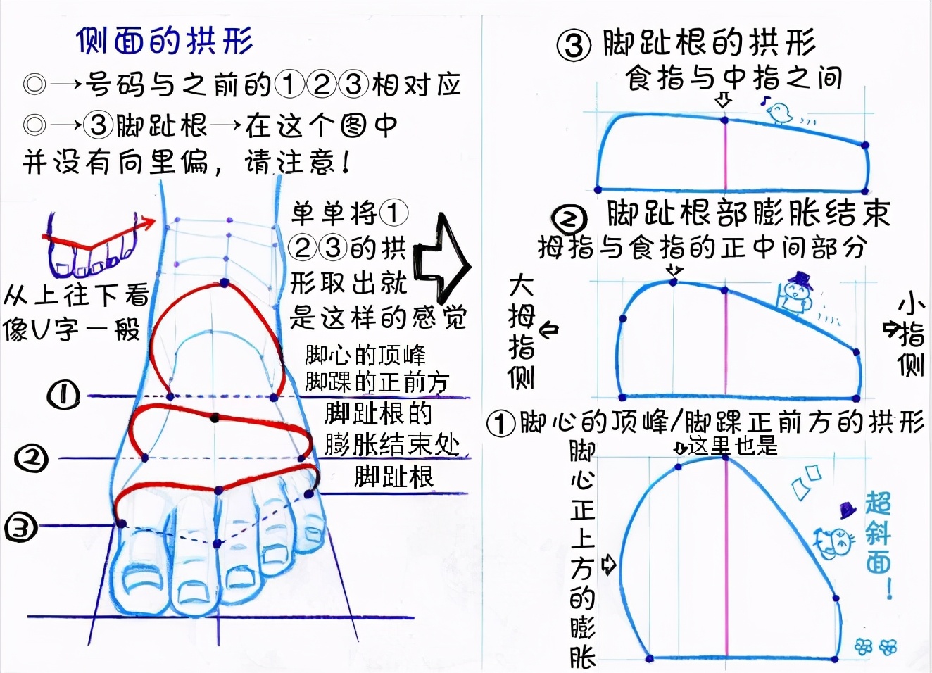 新手画脚难到升天？人物脚部不会画？“正经”脚部画法教程来啦