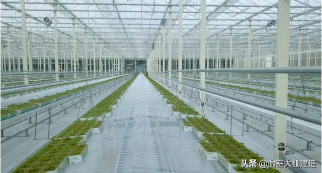 如何建设以智慧农业为主题的现代农业园区？