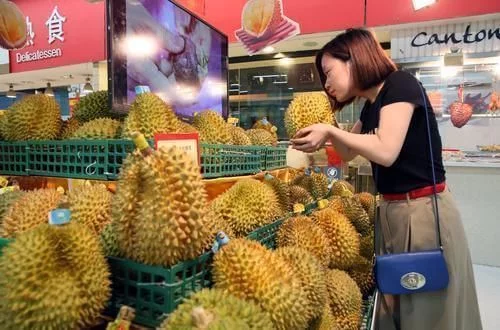 拒绝日本和德国，将价值2240亿的项目交给中国，