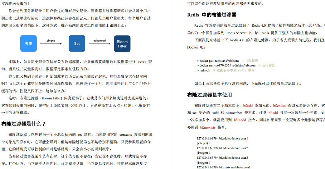 知其然也知其所以然，Redis笔记总结：核心原理与应用实践