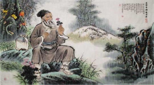 鳖甲的妙用：滋阴潜阳，软坚散结