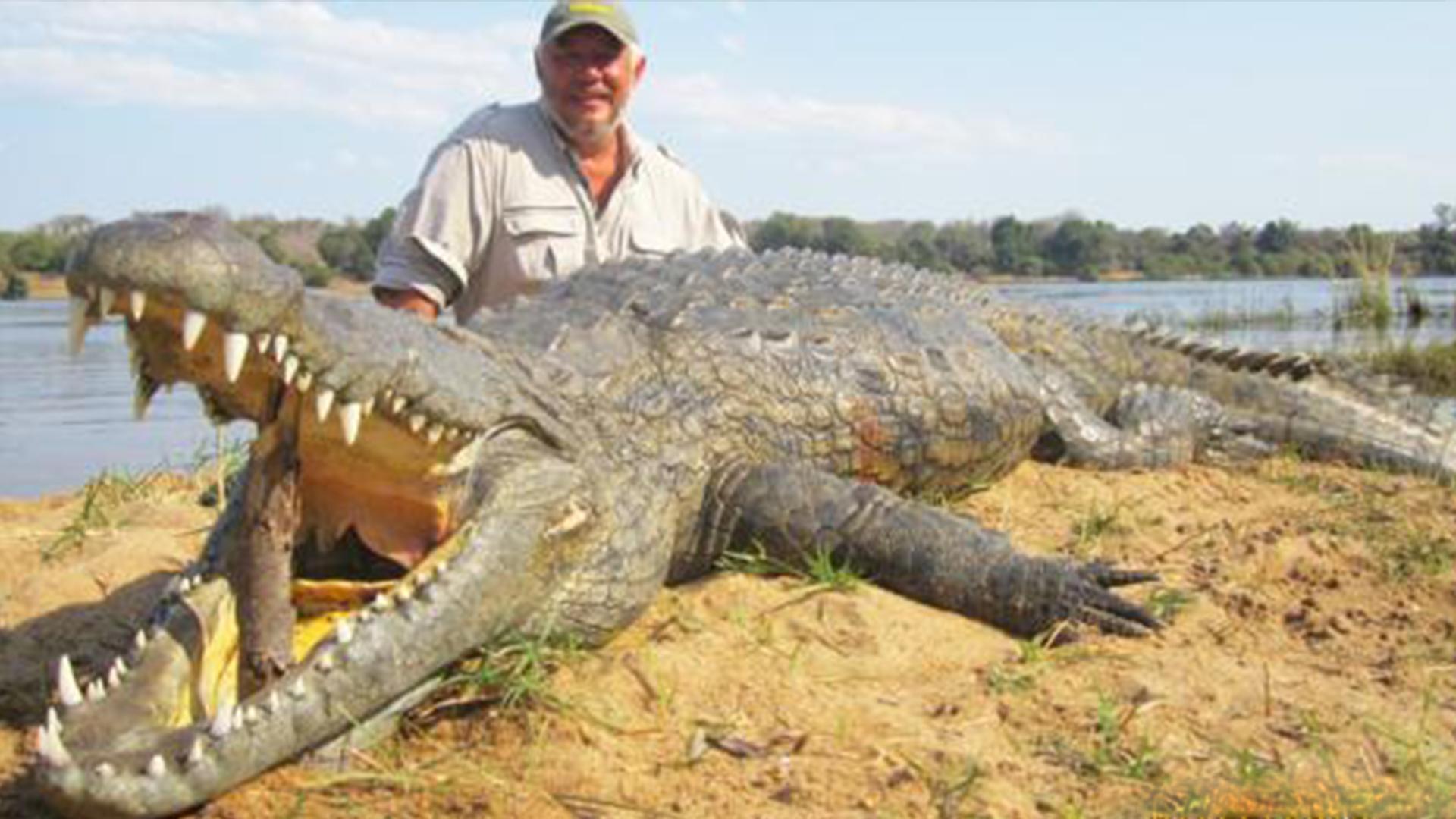 哈特利鳄鱼公园半日游⋆ 麗礁旅遊哈特利鳄鱼探险公园半日游, image size:1920x1080