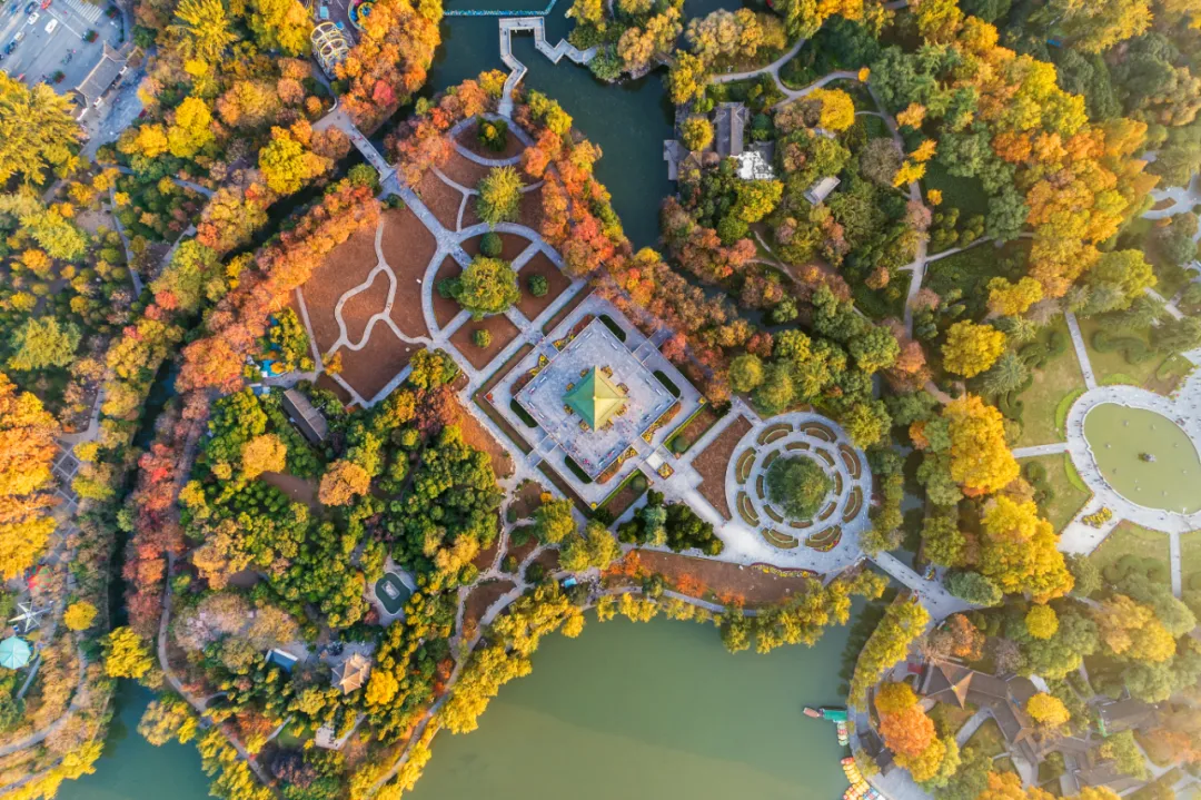 古观音禅寺开放预约!还有这些西安秋色别错过!
