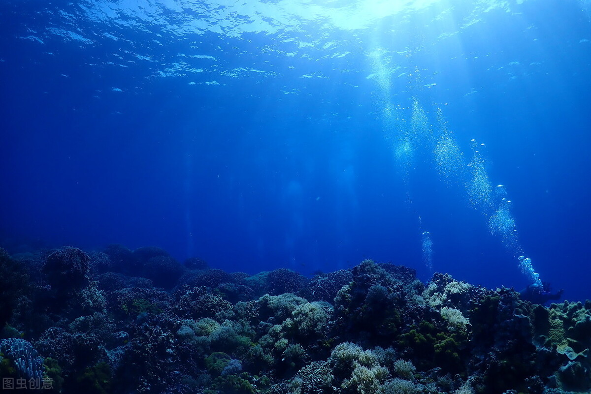 The legend of the ocean python - iNEWS