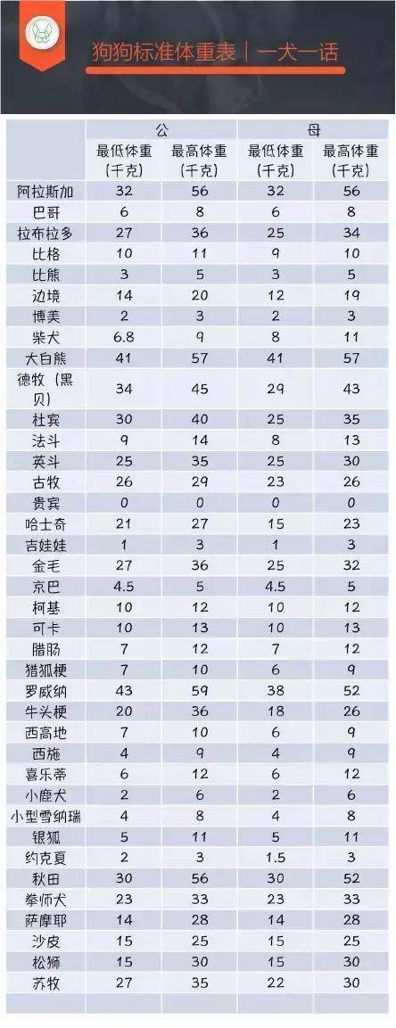 狗狗 体重 对照表 看你家狗狗是肥了 还是瘦了 大爱泰迪控 Mdeditor