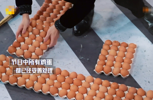 周震南踩破鸡蛋，本想着赶紧救场，却被杜海涛无情拆台，太难了