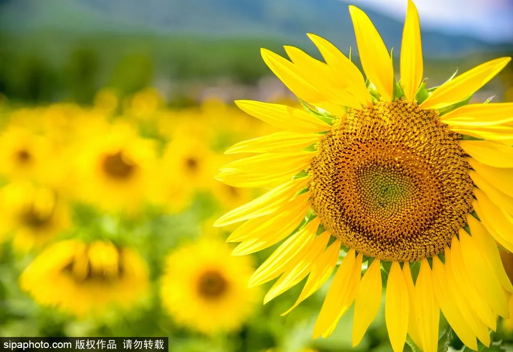 8个细节告诉你，身边的人谁最靠谱