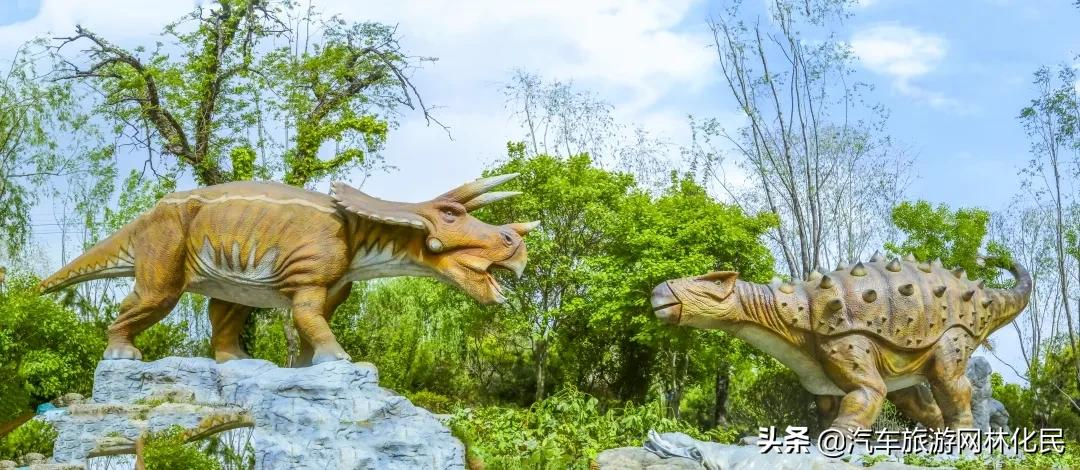 6.1大放价！！！“你好，恐龙先生”儿童节神秘来袭