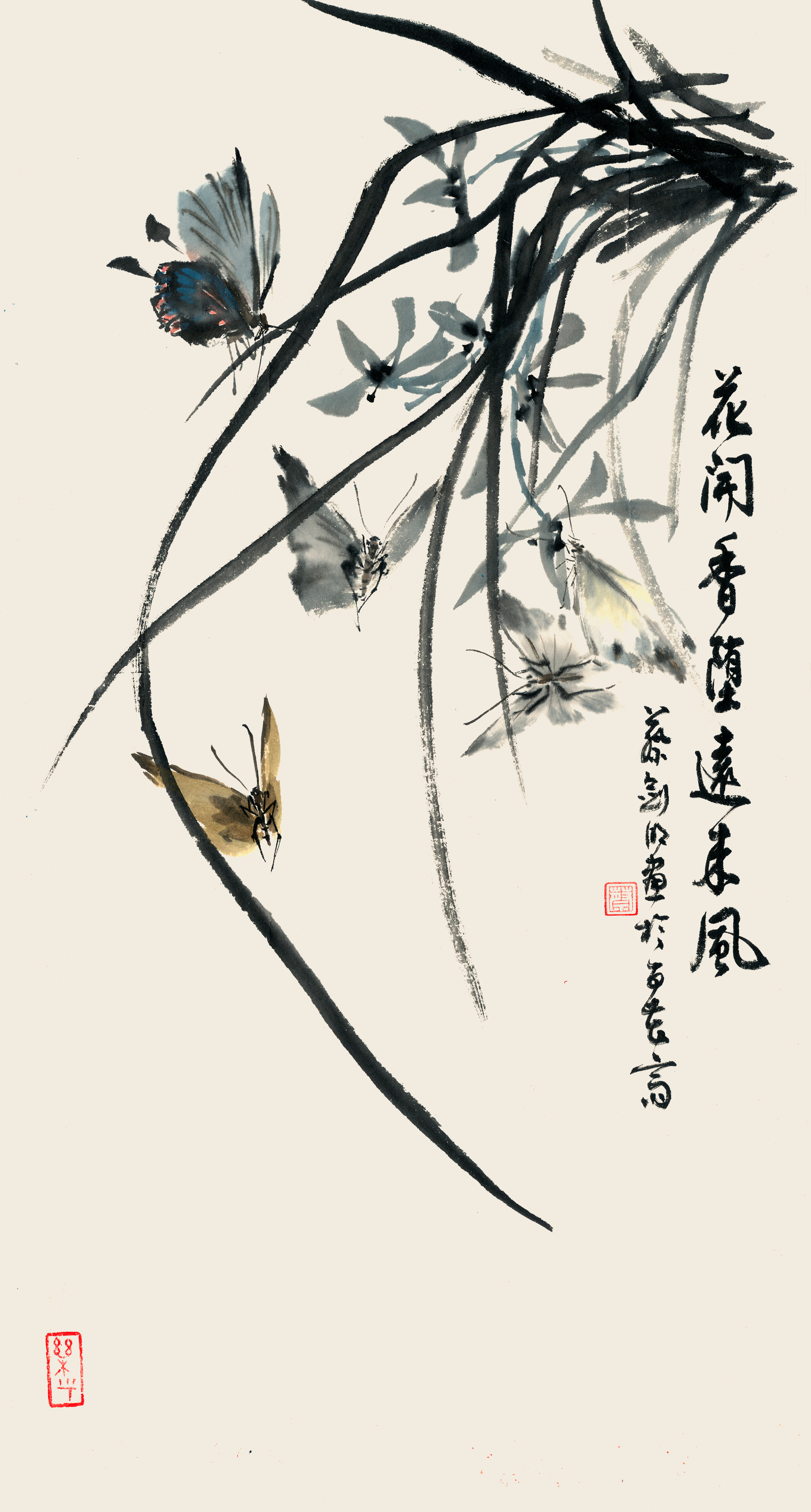 传移模写：蝴蝶画法- MP头条