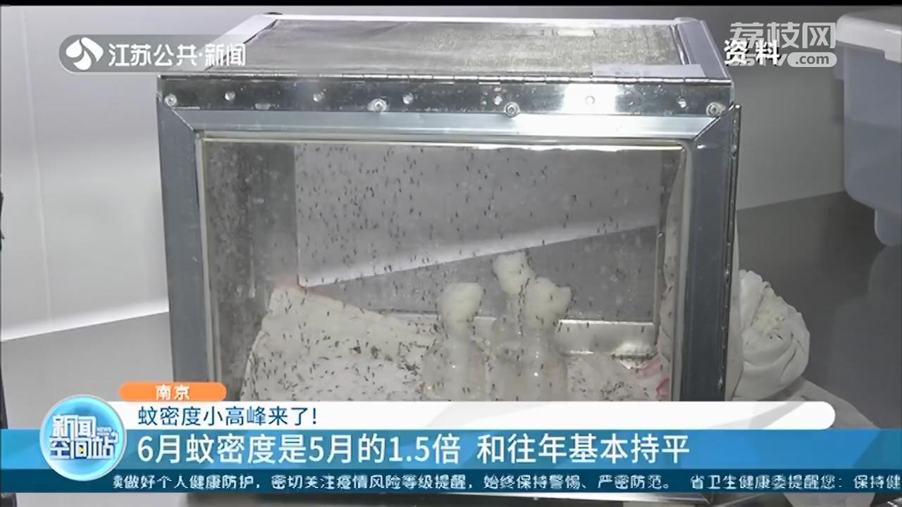 南京蚊密度小高峰来了，吃大蒜防蚊靠谱吗？专家给出解答