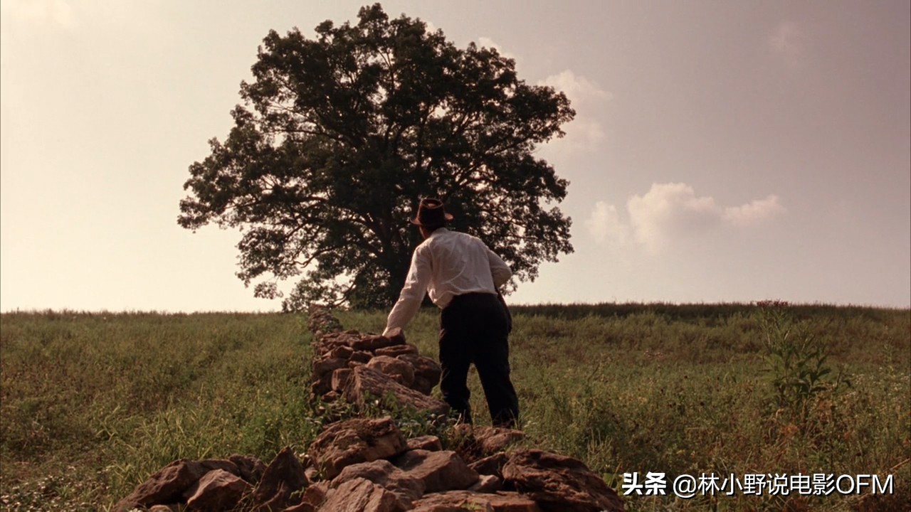 This old oak tree was struck by lightning! "Shawshank's Redemption