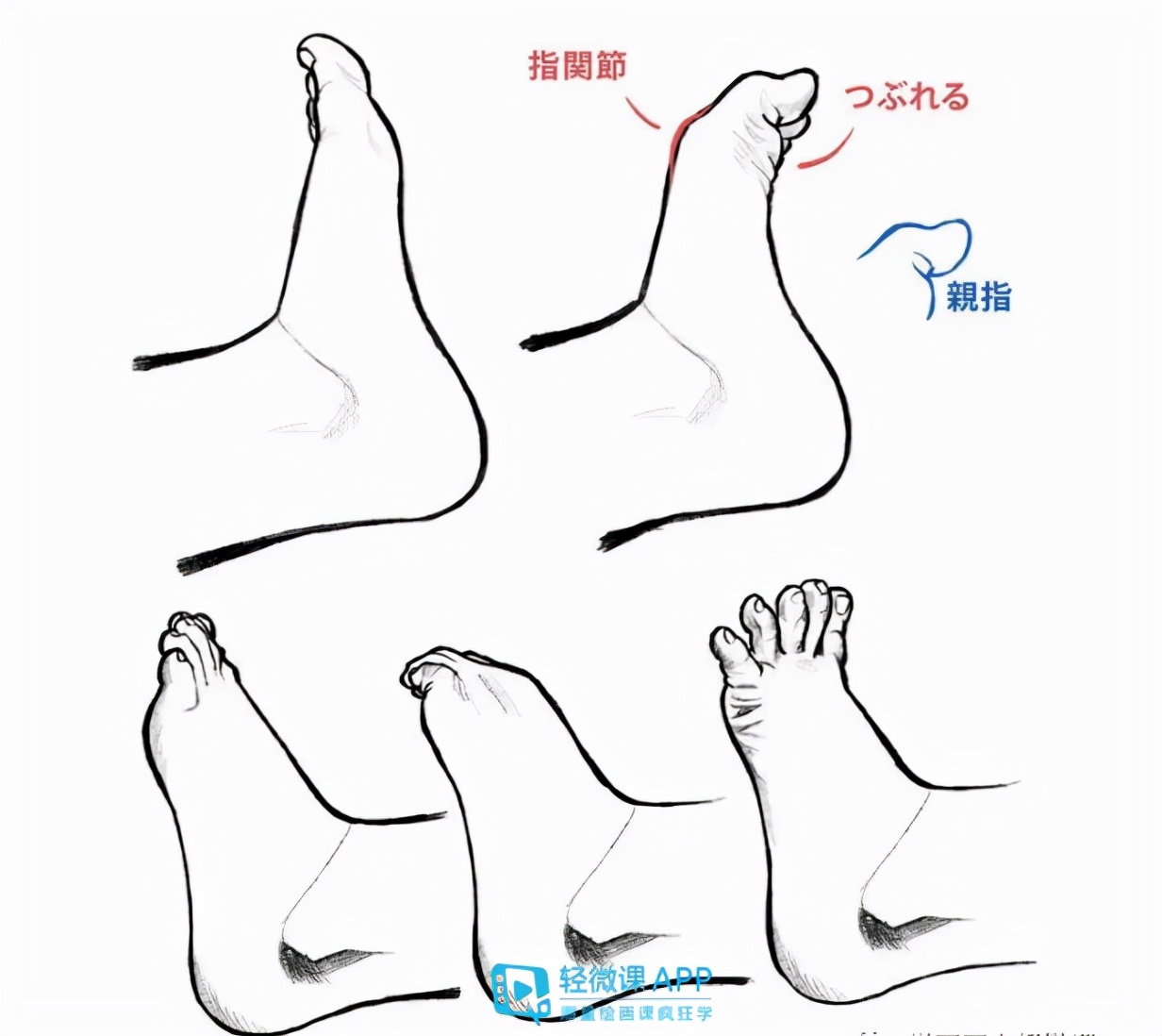 如何繪製動漫腳部動漫人物腳部正面畫法