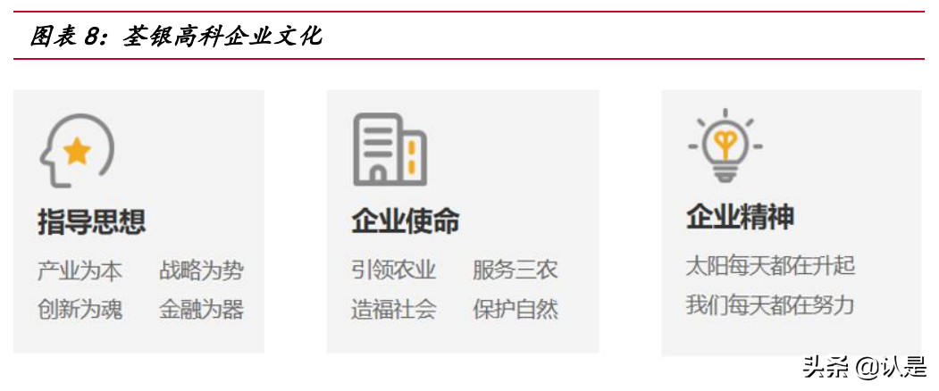 荃银高科专题报告：种业+服务打造产业闭环，借力先正达弯道超车