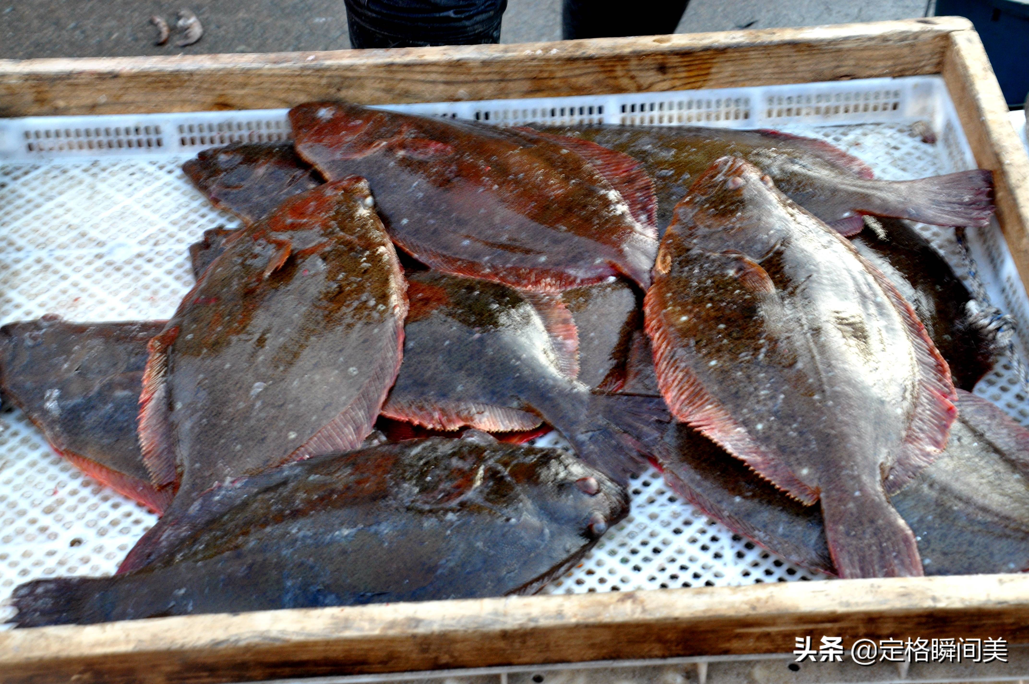 石夹子鱼是什么鱼 -生活知识库-动动脑