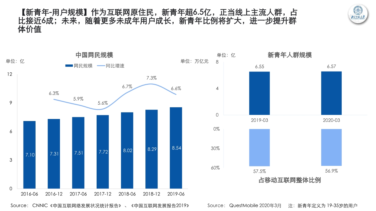 新青年新消费观察研究报告