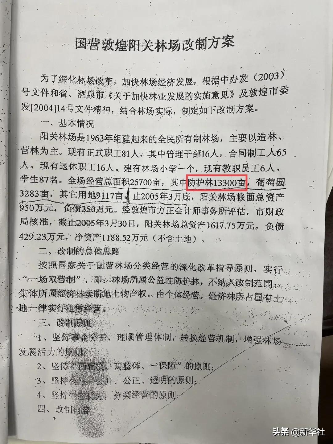 “敦煌毁林案”：13300亩还是6000亩？有图有真相