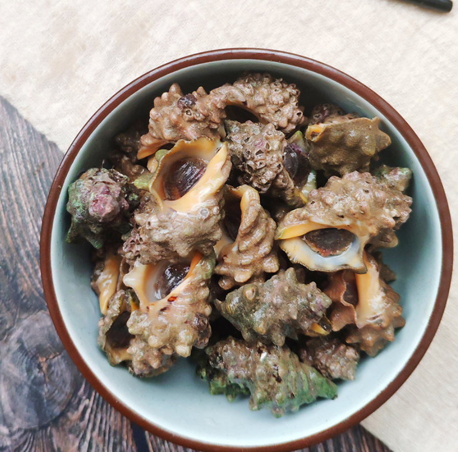 自动标签:产卵泥螺海滩海鱼海鲜美食味道苦螺