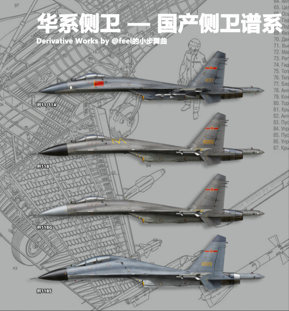 20种，中国苏27原来这么多，歼11歼15歼16就有14型