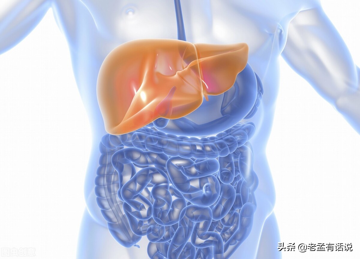 肝不好，晨先知！ 如果早上起來有這6個表現，就要警惕了